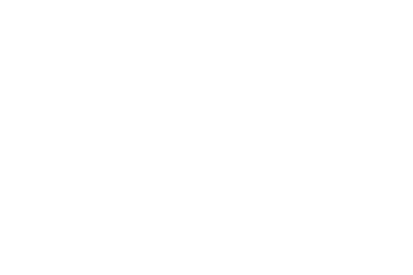 Publicis group