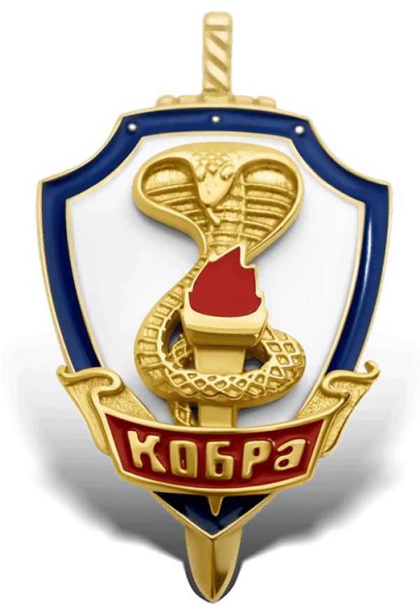 Значок с логотипом компании фото